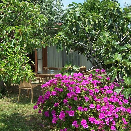 Hotel Club Ragno D'Oro Olbia Tempio Екстер'єр фото