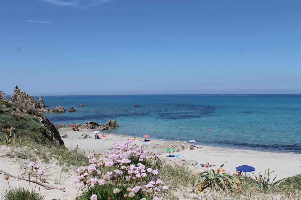 Hotel Club Ragno D'Oro Olbia Tempio Екстер'єр фото
