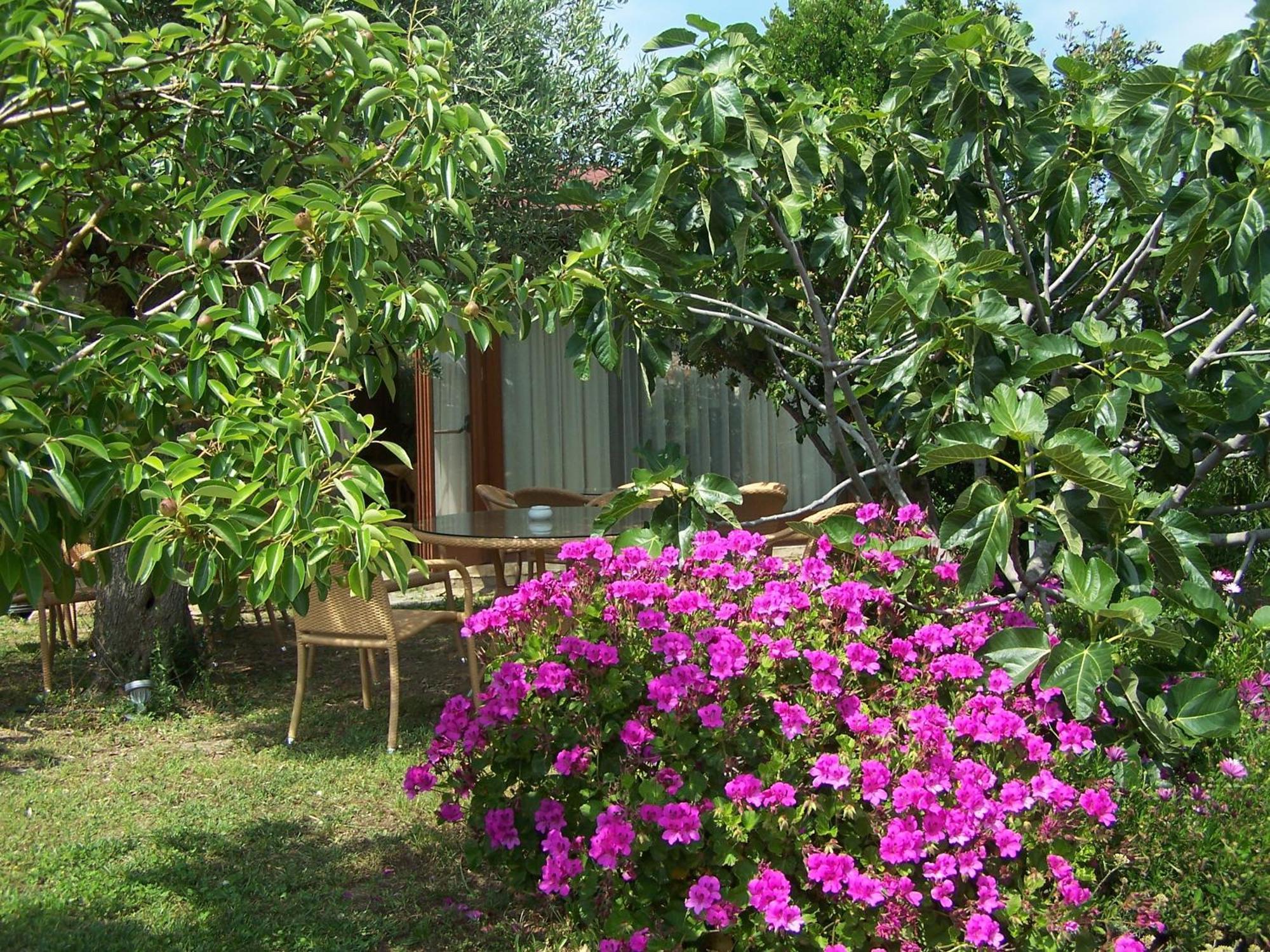 Hotel Club Ragno D'Oro Olbia Tempio Екстер'єр фото