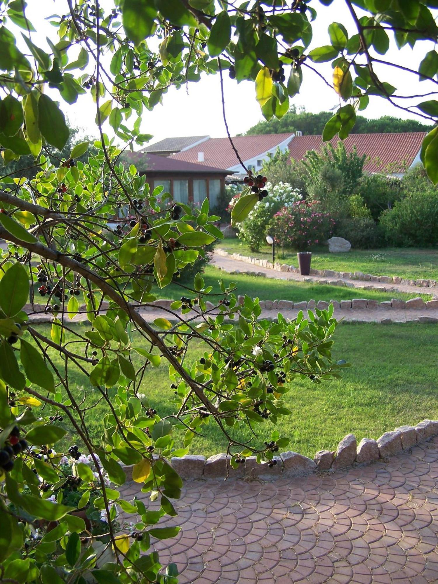 Hotel Club Ragno D'Oro Olbia Tempio Екстер'єр фото