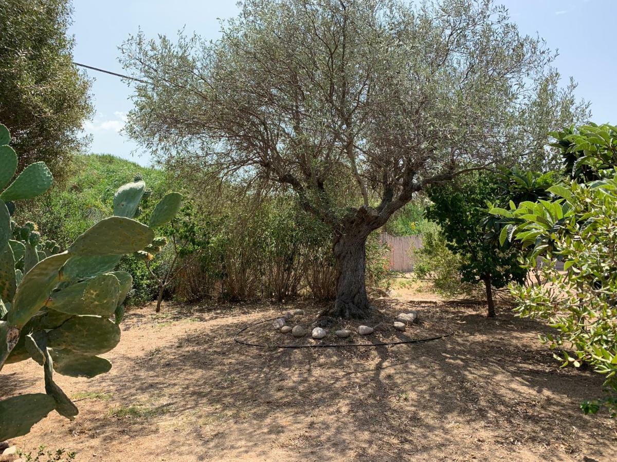 Hotel Club Ragno D'Oro Olbia Tempio Екстер'єр фото